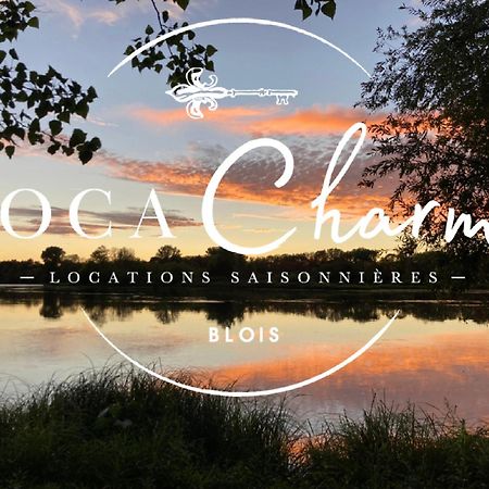 "Gite Les Futreaux" Vue Sur Loire & Linge Inclus Blois Exterior foto